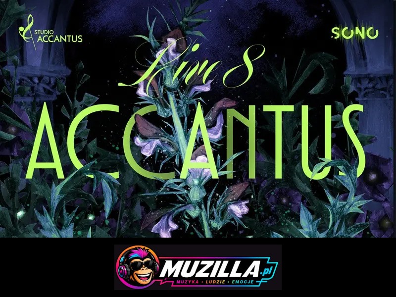 Accantus Live 8 — Wrocław — 27 listopada 2026